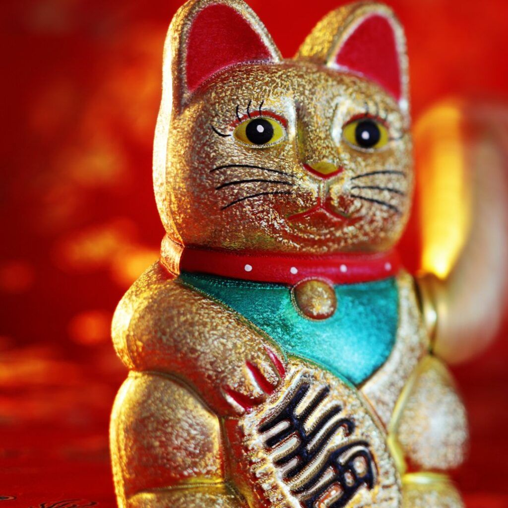 Maneki Neko: A cat that brings luck! - MO MO
