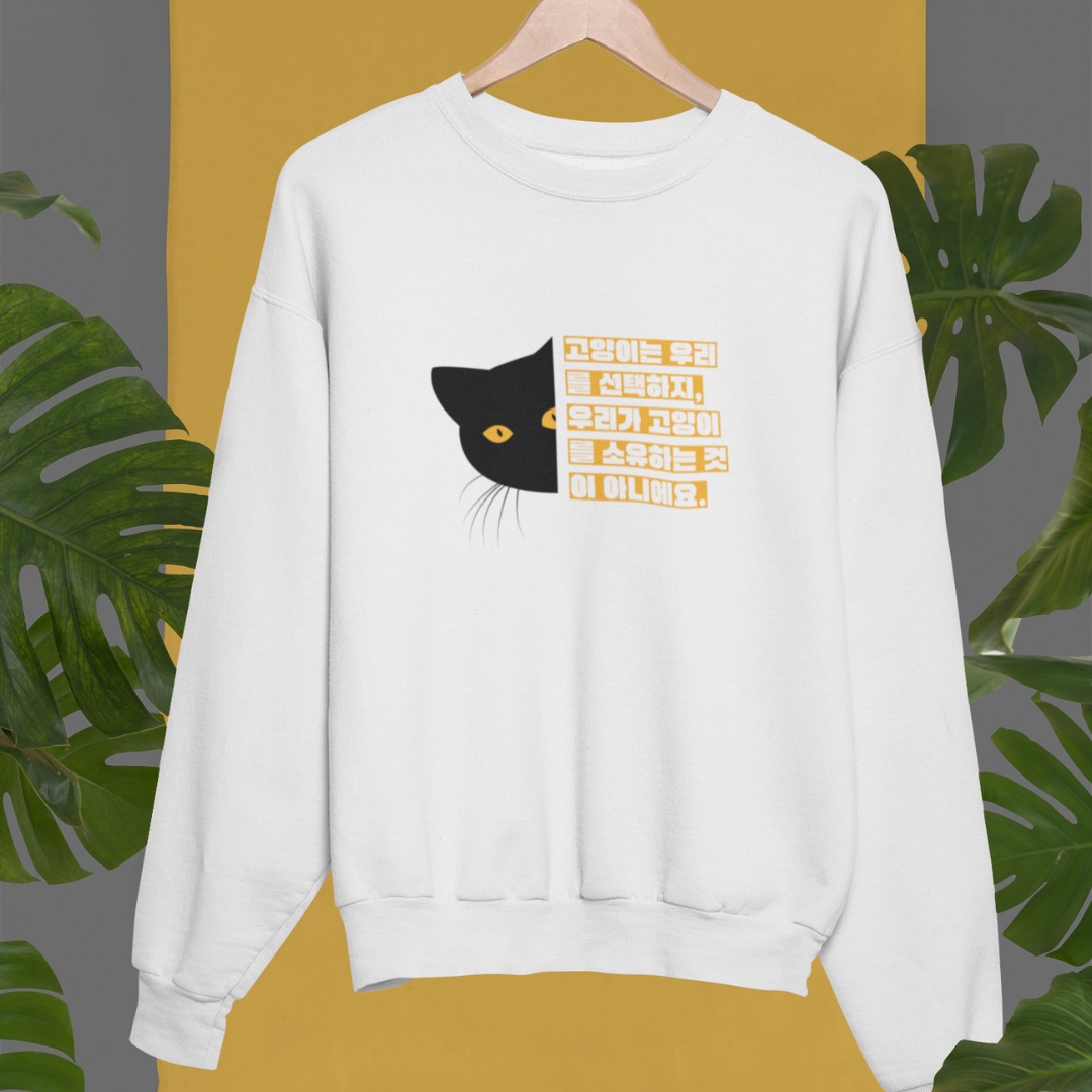 Sweatshirt coréen Les chats nous choisissent MOMO KIDOHO