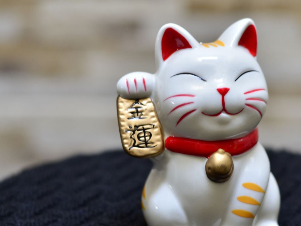 Maneki Neko A cat that brings luck!